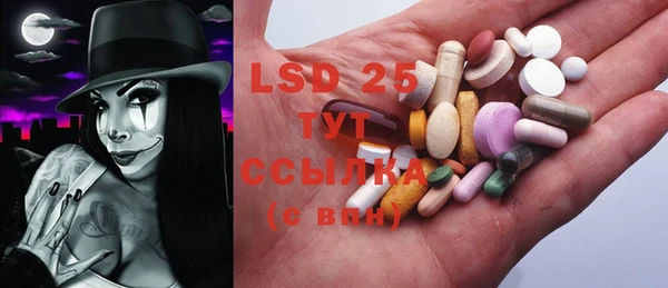PSILOCYBIN Аркадак