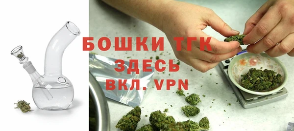 ГАЛЛЮЦИНОГЕННЫЕ ГРИБЫ Арсеньев