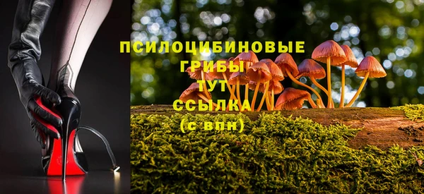 PSILOCYBIN Аркадак