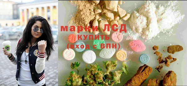 PSILOCYBIN Аркадак
