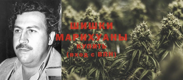 PSILOCYBIN Аркадак