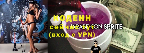 ГАЛЛЮЦИНОГЕННЫЕ ГРИБЫ Арсеньев