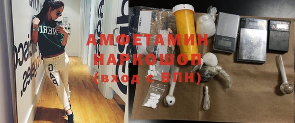 PSILOCYBIN Аркадак