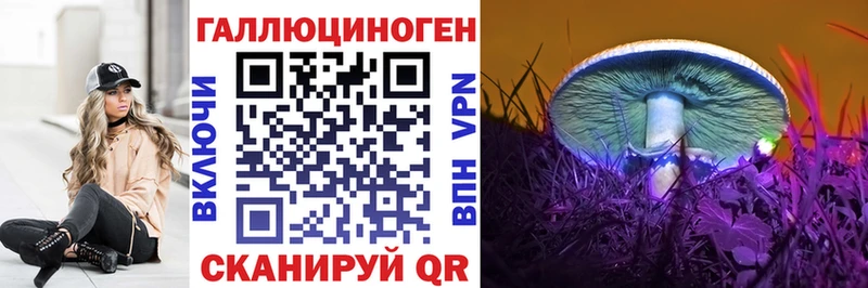 цены   Когалым  Галлюциногенные грибы GOLDEN TEACHER 